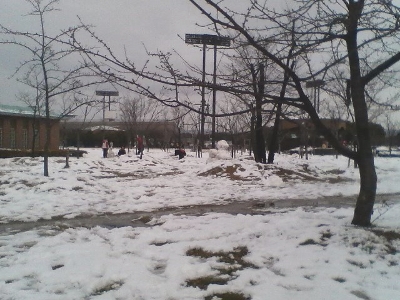 雪の長居公園