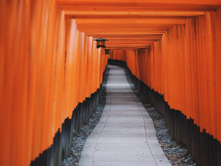 伏見稲荷